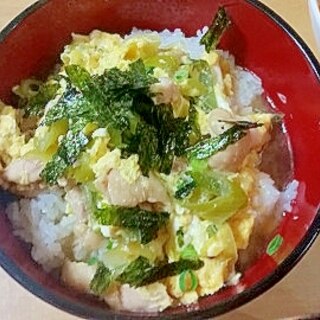 長ネギと鶏肉の親子丼